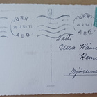 Tiput koristellussa jättimunassa, runsaasti kukkia, p. 1959 - pikkukuva 2
