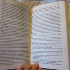 D. H. Lawrence / Lady Chatterleyn rakastaja - pikkukuva 5