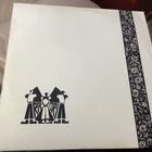 RAPTORI / Raptori vinyl. - pikkukuva 1