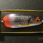 RAPALA NAUVO 95mm, 37g Väri: Live Roach - pikkukuva 2