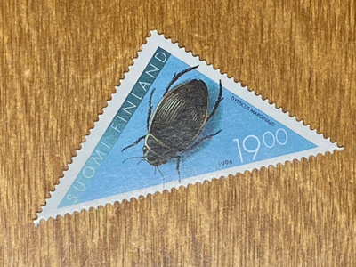 KOVAKUORIAINEN**