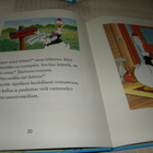 Disney Aku ja Hansu - pikkukuva 2