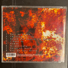 ROTTEN - Fall Of Mankind cdr (Suomi Death Metal) - pikkukuva 2