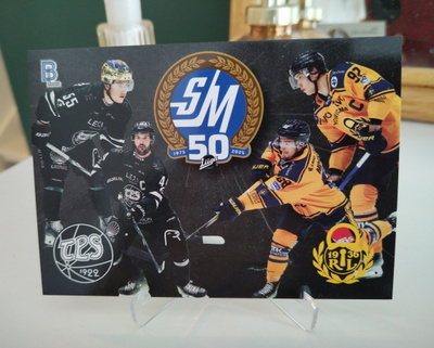 2024-2025 Blueline OVERSIZE CARD TPS – LUKKO 30.11.2024