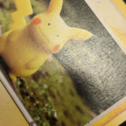 Ditto 63/113 Pikachu - pikkukuva 2
