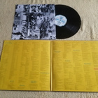 STEVIE WONDER - Hotter Than July LP - pikkukuva 2