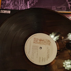 Savoy Brown Rock'n roll warriors - pikkukuva 3