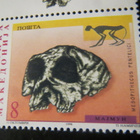 Makedonia 1998: fossiilit - pikkukuva 3