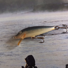 Rapala original 5 - pikkukuva 2