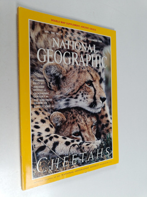 National geographic vol. 196, No. 6 / November 1999