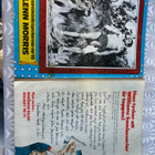 Tarzan -apornas son 75/1971 ja 24/1976 - pikkukuva 2