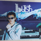 Bush - Gavin Rossdale / Silverchair :Juliste 90-luvun alusta - pikkukuva 1