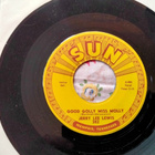 Jerry Lee Lewis sinkku - pikkukuva 2