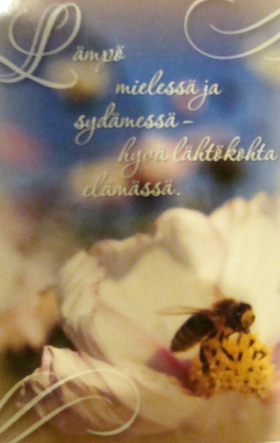 No  1  -   lämpö mielessä ja sydämessä