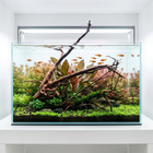 Uniikki akvaariojuurakko 60 cm | P262623 - pikkukuva 2