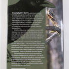 Juhani (toim.) Syrjä : Pöytään isketty puukko : erätarinoita - pikkukuva 2