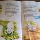 Saro De La Iglesia: Ihanat eläinystävämme - pikkukuva 5