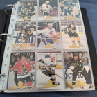 1994-95 Leaf Peruskortit+Erikoiskortit - pikkukuva 1