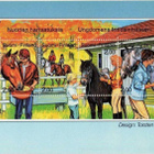 kortti **/° Hevonen ratsastajineen - erilaisia - pikkukuva 2