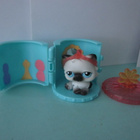Littlest Pet Shop figuuri, persialainen kissa + talo - pikkukuva 1