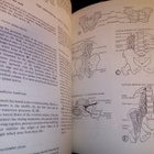 REGIONAL ANATOMY ILLUSTRATED (CHURCHILL LIVINGSTONE) - pikkukuva 4