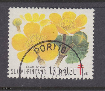 1983 1,3 mk TUB loistoleimaisena