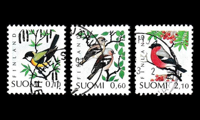 1130-2 o Lintuja (1991)