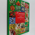Folk handicrafts of the Nizhny Novgorod Region - pikkukuva 1