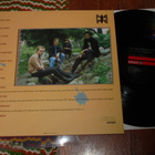 The WAYWARD SOULS - Like Junk Food Kings On Diet - LP 1987 M - pikkukuva 2