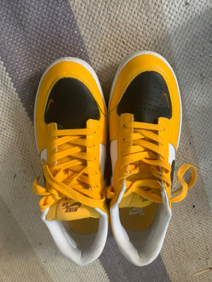 Nike Sb
