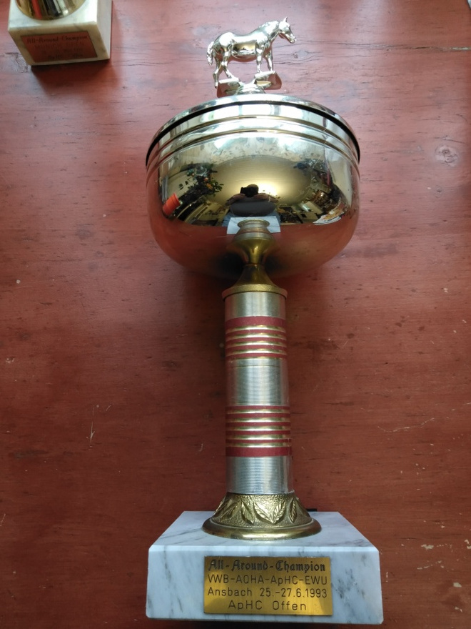 Suuri pokaali
