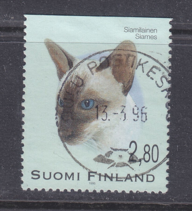 Kissavihosta  LLo leimainen.