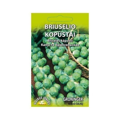 Ruusukaali "Groninger" - siemenet #