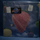 LIGHTING SEEDS - JOLLIFICATION LP EX+/EX - pikkukuva 1