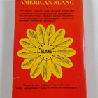 Dictionary of American slang - pikkukuva 2