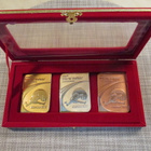 IAAF Istanbul 2012 World Indoor Championships muistomitalit. - pikkukuva 1