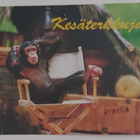"Apina tuolissa/Kesäterkkuja!"-KULKEMATON POSTIKORTTI - pikkukuva 1