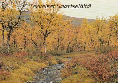 Postikortti, SAARISELKÄ