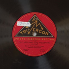Savikiekko 1929 - Emil Svartström - Tri-Ergon TE 5585 - pikkukuva 1