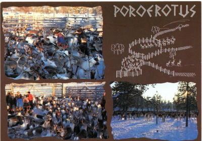 Postikortti: POROEROTUS (kulkematon)