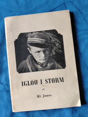 igloo i storm av mr jones