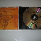 Lord Vicar - Fear No Pain  (CD) - pikkukuva 3