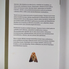 Katarina ym. (toim.) Eskola : Aina uusi muisto - pikkukuva 2