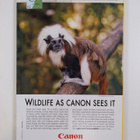 National Geographic vuosikerta 2009 (1-12) - pikkukuva 2