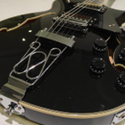Green Guitars Comfort J&B Sähkökitara - pikkukuva 2
