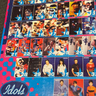 Idols 1. kausi keräilykortit 38 kpl - pikkukuva 2