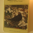Uudenmaan linnusto - pikkukuva 1