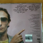 Graham Parker: Another Grey Area (LP) - pikkukuva 2