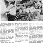 Terveys n:o 9 1962 Struumaa aiheuttavat aineet ravinnossamme - pikkukuva 5