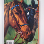 Jim Heimann : Mexicana : vintage Mexican graphics - pikkukuva 2